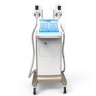 New design lipo cryotherapy cryolipolysis fat freeze slimming machine for sale