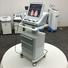 Beauty center use high intensity focuse 15 inch 300w ultrasound face lift machine with CE FDA approved