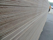25mm commercial plywood/furniture grade plywood.poplar or hardwood core,1220*2440mm.12,15,18mm