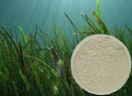 Concentrated Algae Kelp Source Extract Seaweed Fertilizer(black power) high potassium seaweed extract(100%water soluble)