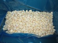 IQF frozen garlic cloves with BRC certificate