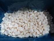 High Quality IQF frozen garlic cloves
