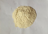 Dried ONION POWDER FROM FACTORY