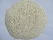Dehydrated Garlic Granules with ISO, HACCP & HALAL