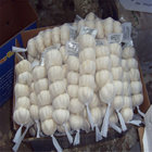 PURE WHITE GARLIC WITH 250G TUBE PACKAGE