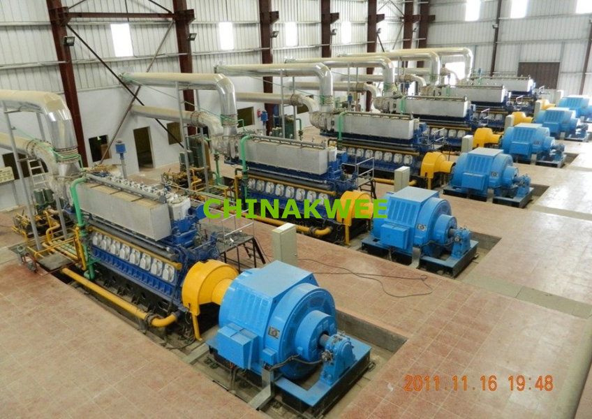 China best Genset Power Plant on sales