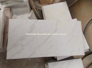 Landscape Veins White Sandstone Tiles(White Shade)