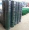 PVC coated holland wire mesh fence black green wire mesh