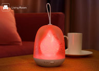 Portable Beautiful LED rechargeable Touch adjust light kid's  night sleep table bedside lamp LX127