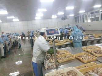 Zhejiang Hongci Import &amp;Export Co.,Ltd