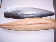 Spanish Mackerel Fillet