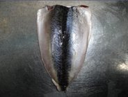 Mackerel Flaps (Scomber Japonicus)