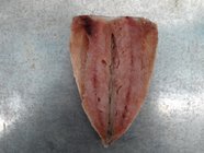 Mackerel Flaps (Scomber Japonicus)