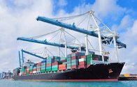 MEM1 AVP1 SNA4 FBA AMAZON OCEAN shipping logistics 20 days to door warehouse customs clearance