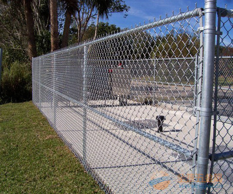 China football playground mesh/chain link mesh fence/galvanized 9 gauge 12 ft fence supplier