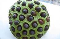 Lotus seed Extract  10:1  TLC  Stand against insomnia, 100% natural ingredients or healthcare, Chinese manufacturer