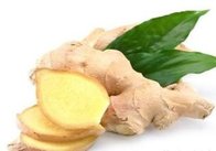 Vigna angularis Extract, Ginger Extract, Galla Chinensis Extract, Chinese Regulate gastrointestinal tract herbal extract