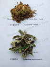 Epimedium Breviconum P.E.,Icariin 10%-98%,CAS No.: 489-32-7,Cistanche Deserticola P.E.,Ginseng P.E.,  Goji Berry Extract