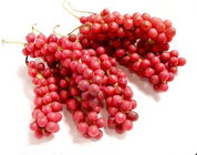 Schisandra Extract 2% ,5%, 9%Schisandrins, anti aging, Protect liver,CAS.: 7432-28-2 Chinese export, Yongyuan Bio-Tech,