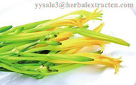 Daylily Extract natural NATURAL HERBAL ingredients  Hemerocallia Fulva extract Anti-Cancer Chinese manufacturer