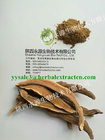 Reishi Mushroom Extract, Chinese manufacture, enhance immunity, skin care cosmetic ingredients,Shaanxi Yongyuan Bio-Tech