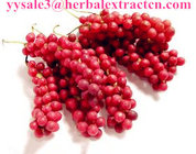 Wolfberry(Goji Berry) Extract,  polysaccharide 40%, regulates immune system,Schisandra Extract,Schisandrins 2%,5%,9%