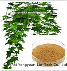 manufacture supply anti-aging, naturl health care Chinese Ivy Extract Hederacoside C 10%, Shaanxi Yongyuan Bio-Tech