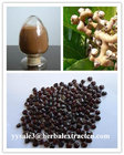 Chinese herbal extract manufacture, natural herb beverage ingredients, Oriental Raisin Tree Extract,  for drunkenness