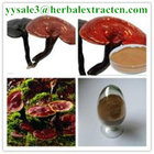 reishi mushroom series: Reishi slices, Reishi Mushroom Extract polysaccharide(as glucan) 20% , Manufacturer