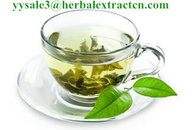 Water soluble Green tea P.E Total Tea Polyphenols 40% , natural antioxidant and weight lose, Yongyuan Bio-Tech