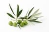 Olive Leaf Extract CAS No.: 32619-42-4 Oleuropein10% anti-inflammatory, qualified  Chinese Supplier