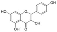 Kaempferol 98% HPLC, Sophora Japonica Extract, CAS No.: 520-18-3, Chinese Manufacturer, Yongyuan Bio