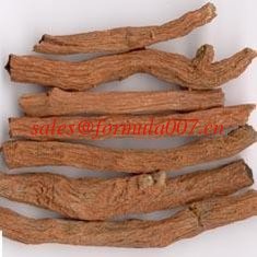 China natural bulk herbs exported TCMs Salvia miltiorrhiza Codonopsis pilosula supplier