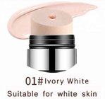 Hot Sale new product Foundation Concealer Cushion CC stick for office lady and school girl