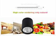 4000K 30W good design COB LED downlight NEW ceiling mounted lamps for commercial light