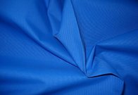 China 100% Nylon taslan fabric in wujiang company