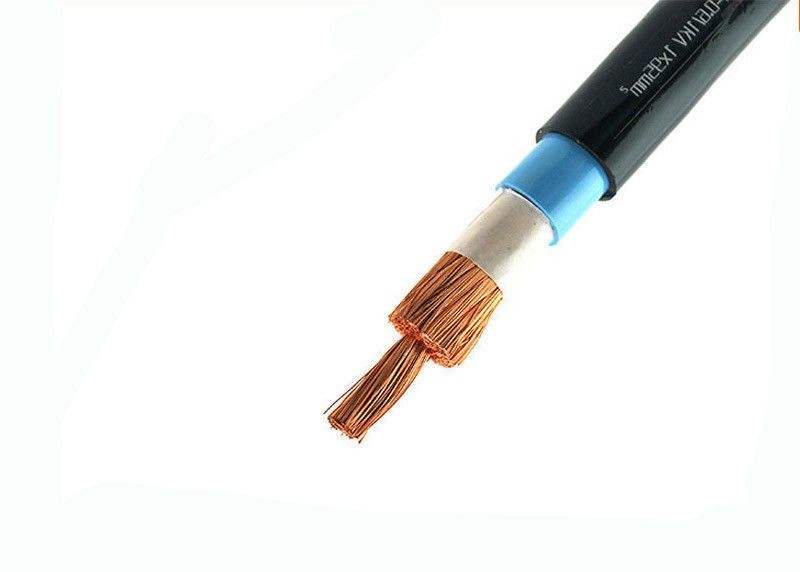 Heavy Duty PVC Insulated Power Cable 1*10 Sq. Mm 600 / 1000 V