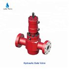 API 6A Oilfield High Pressure Hydraulic Gate Valve for Oil & Gas Industry