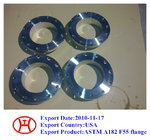 ASTM A182 F55 S32760 1.4501 Zeron 100 WN SO Blind flange forging disc ring
