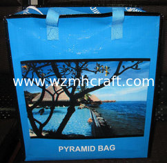 China sell pp woven shopping bag, shopping pp woven bag,pp woven laminated shopping bag supplier