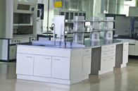 chemistry lab fit furniture ,hospital lab fit furniture ,college lab fit furniture