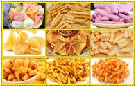 Visit And Study Of Continuous Fryer Factory