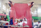 Inflatable Tiger Head Tunnel, Inflatable Events Entrance, Inflatable Arch
