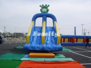 Vivid Frog Inflatable Double Slides Customizable Size For Kids Having Fun