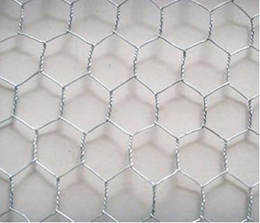 Galvanized Steel Woven Stucco Hexagonal Wire Netting Suppliers