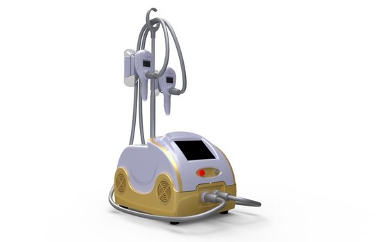 China portable 2 handles Cryolipolysis Machine for Weight Loss supplier