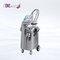 cheap  1000W Lipo Cryolipolysis Slimming Machine With Two Cryolipolysis Handle For Removing Fat