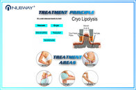 Cool Tech Cryolipolysis Weight Loss machine Cavitaion RF Fat Freezing Machine