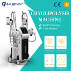Popular Fat Freeze Slimming Machine/Cryolipolysis body slimming machine  For Sale