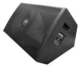 C5215M Professional  15" inch speaker 15 inch monitor speakers